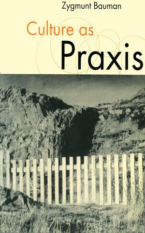 Cover of the book Culture as Praxis by Liz Chamberlain, Emma Kerrigan-Draper