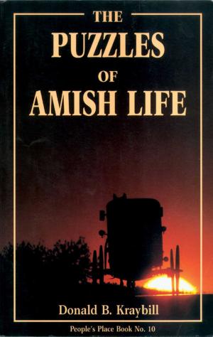 Cover of Puzzles of Amish Life