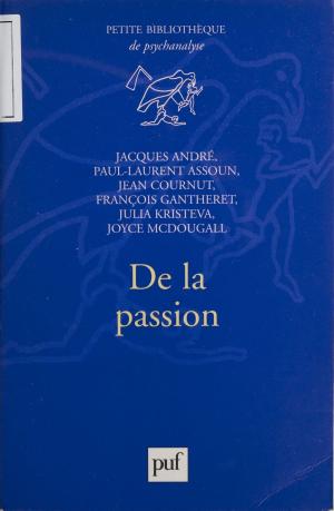 Cover of the book De la passion by Florence Braunstein, Jean-François Pépin