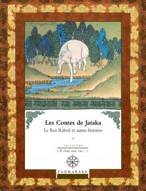 Cover of the book Contes de Jataka - Volume II by Émile Zola