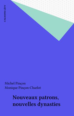 bigCover of the book Nouveaux patrons, nouvelles dynasties by 