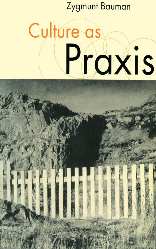 Cover of the book Culture as Praxis by Zygmunt Bauman, SAGE Publications