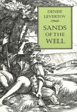 Cover of the book Sands of the Well by Victor Perrotti