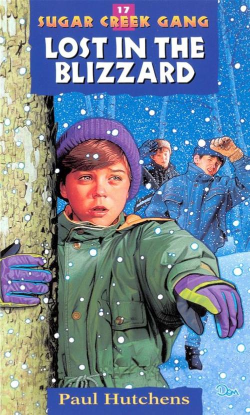 Cover of the book Lost in the Blizzard by Paul Hutchens, Moody Publishers