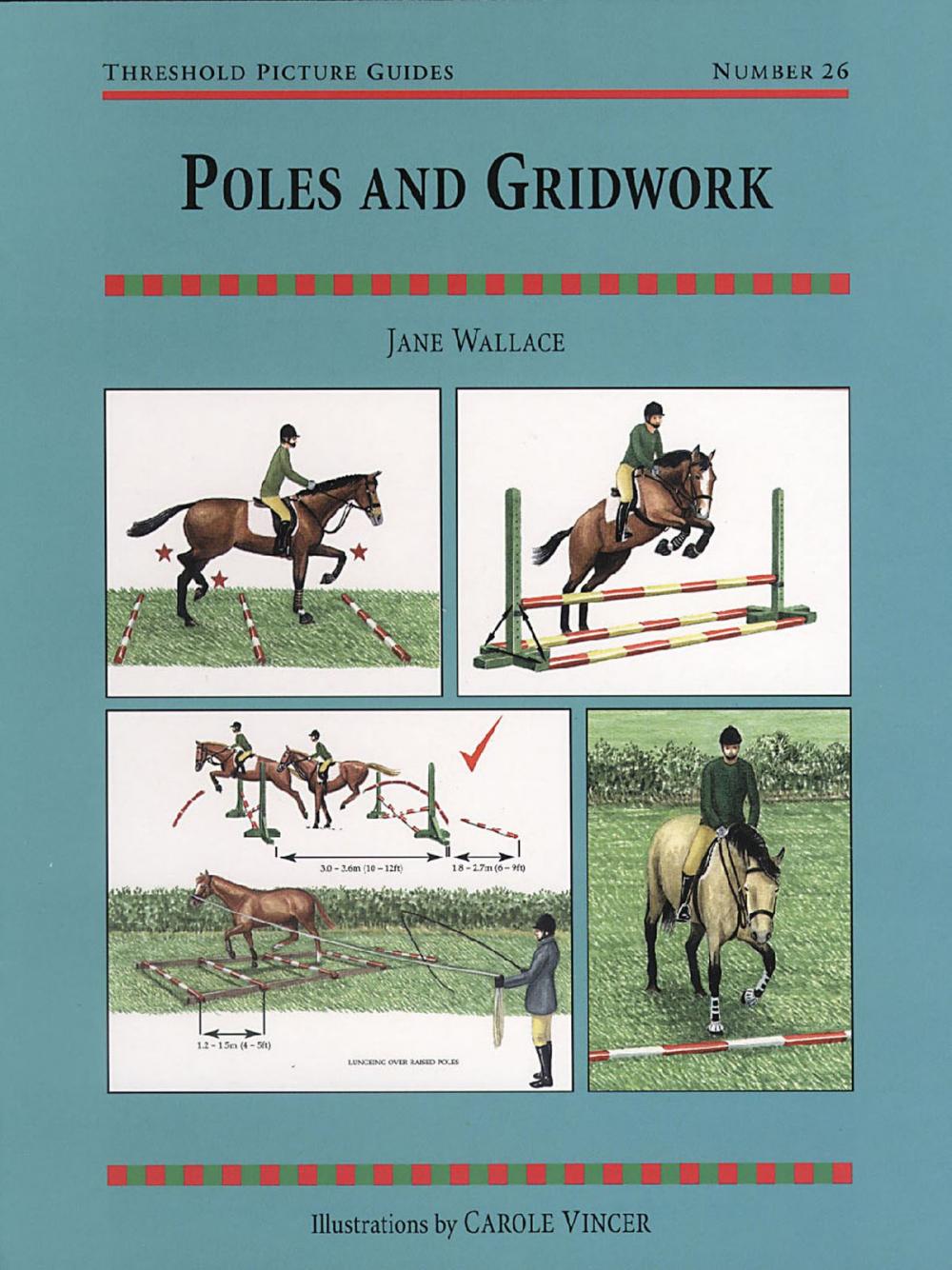 Big bigCover of POLES AND GRIDWORK