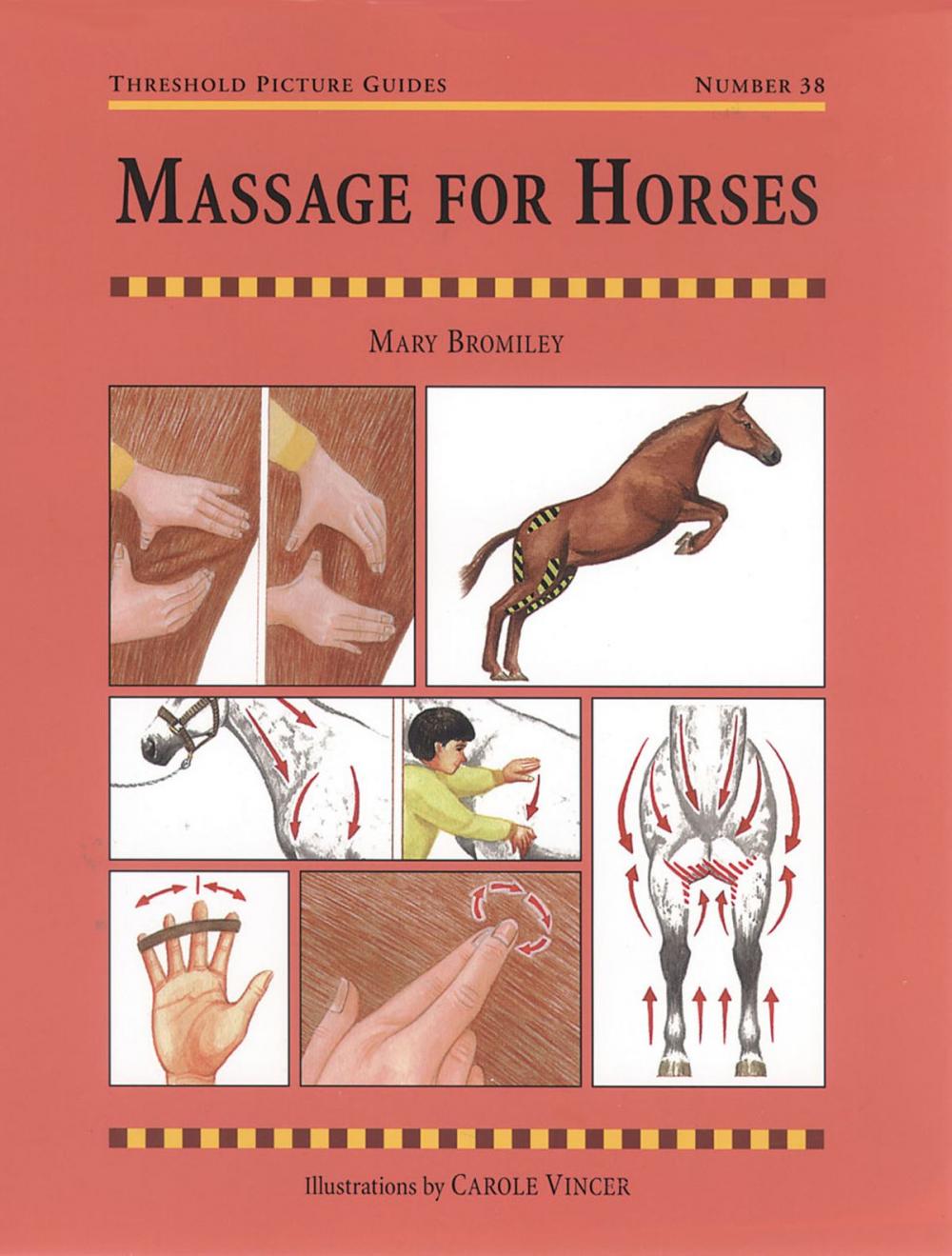 Big bigCover of MASSAGE FOR HORSES
