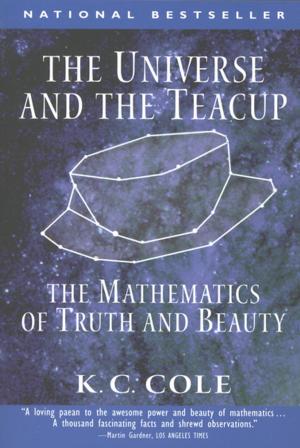 Cover of the book The Universe and the Teacup by Robert Stone
