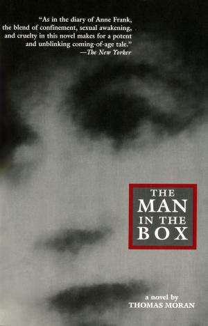 Cover of the book Man in the Box by JoAnn Ross