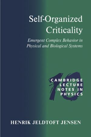 Book cover of Self-Organized Criticality