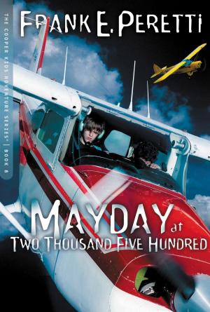 bigCover of the book Mayday at Two Thousand Five Hundred by 