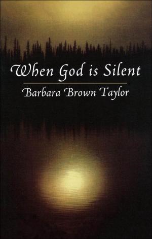 Cover of the book When God is Silent by Donna Schaper