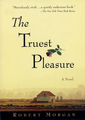 Cover of the book The Truest Pleasure by Jayne Pupek
