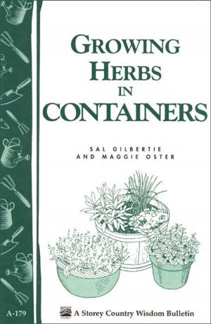Cover of the book Growing Herbs in Containers by Marnie Peterson