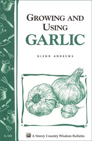 Cover of the book Growing and Using Garlic by Judy Pangman