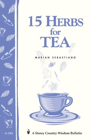 Cover of the book 15 Herbs for Tea by Pat Storer