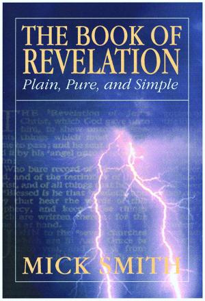 Cover of the book The Book of Revelation: Plain, Pure and Simple by Chris Stewart