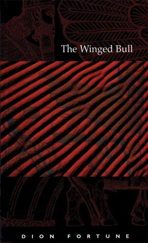 Cover of the book The Winged Bull by Christopher Penczak