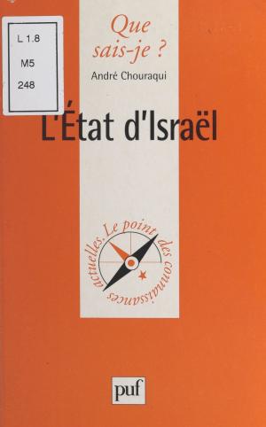 Cover of the book L'État d'Israël by Jean Lacroix