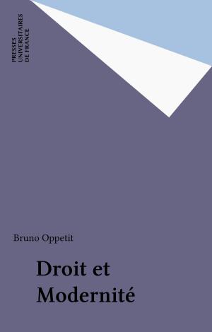 Cover of the book Droit et Modernité by Jean-Pierre Bady, Paul Angoulvent, Anne-Laure Angoulvent-Michel
