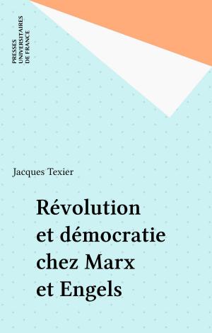 Cover of the book Révolution et démocratie chez Marx et Engels by Anne-Françoise Schmid