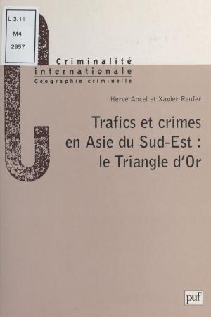 Cover of the book Trafics et crimes en Asie du Sud-Est : le Triangle d'or by Bianka Zazzo