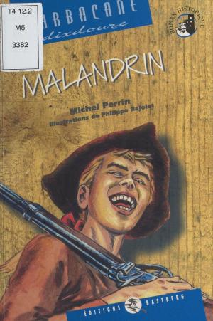 Cover of the book Malandrin by Daniel Meynard