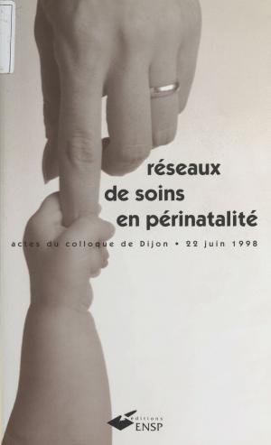 Cover of the book Réseaux de soins en périnatalité by Vahé Katcha
