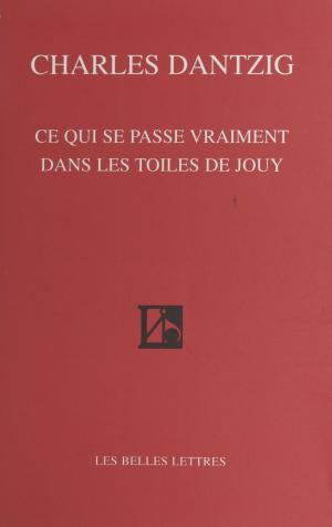 Cover of the book Ce qui se passe vraiment dans les toiles de Jouy by Betty Mephors