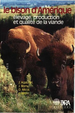 Cover of the book Le bison d'Amérique by Jacquemard Jean-Charles