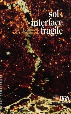 Cover of the book Sol : interface fragile by Daniel Terrasson, Martine Berlan-Darqué