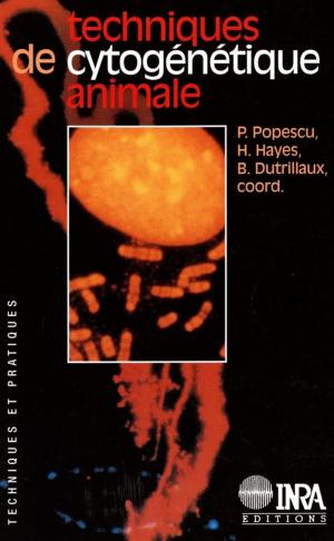 Cover of the book Techniques de cytogénétique animale by Bruno Mary, Nicolas Beaudoin, Nadine Brisson, Marie Launay