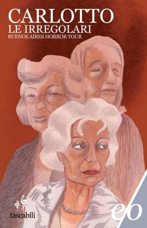 Cover of the book Le irregolari by Margaret McHeyzer