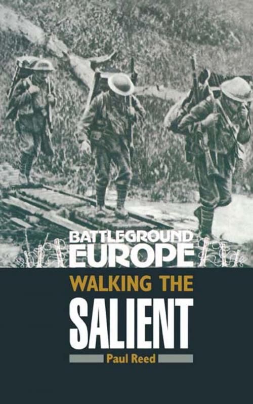 Cover of the book Walking the Salient by Paul   Reed, Pen and Sword