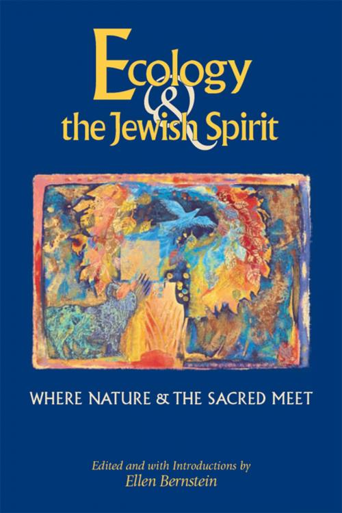Cover of the book Ecology & the Jewish Spirit by , Jewish Lights Publishing
