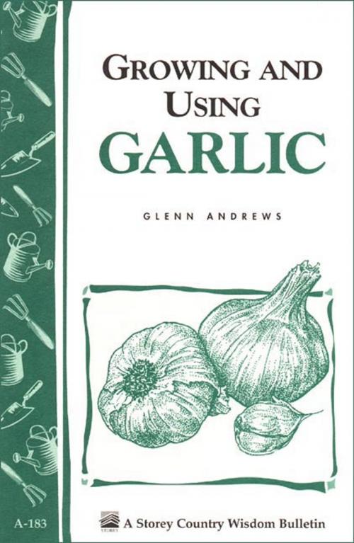Cover of the book Growing and Using Garlic by Glenn Andrews, Storey Publishing, LLC