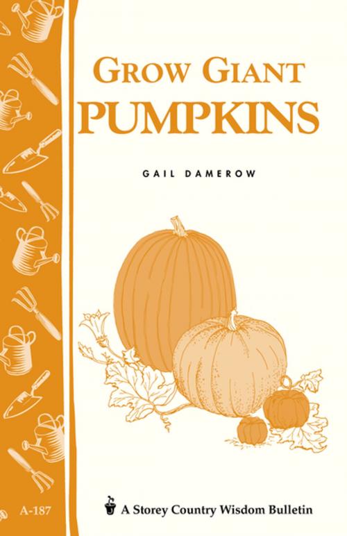 Cover of the book Grow Giant Pumpkins by Gail Damerow, Storey Publishing, LLC