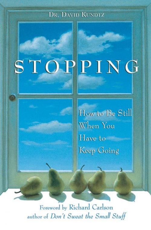 Cover of the book Stopping by David Kundtz, Red Wheel Weiser