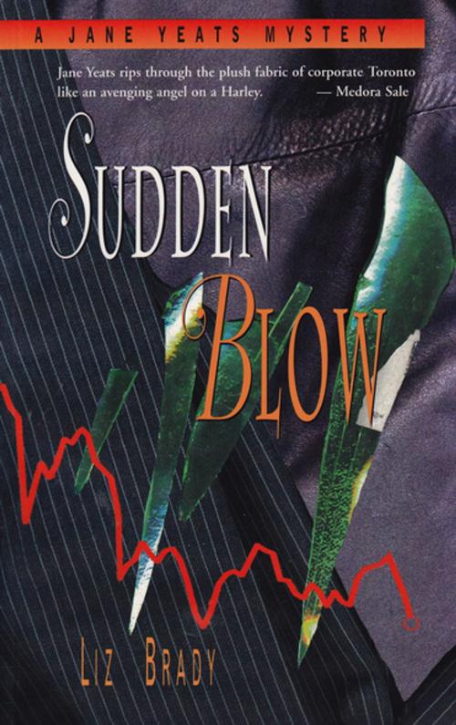 Cover of the book Sudden Blow by Liz Brady, Second Story Press