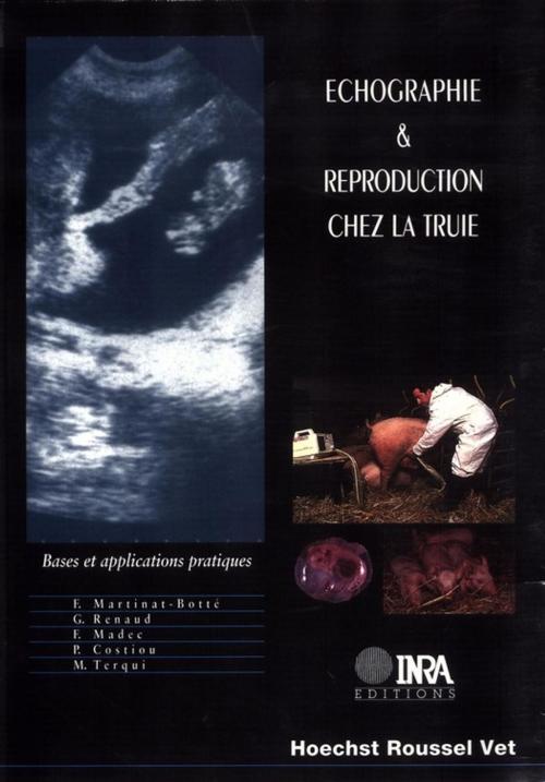 Cover of the book Echographie et reproduction chez la truie by Patrick Costiou, Michel Terqui, François Madec, Guy Renaud, Françoise Martinat-Botté, Quae