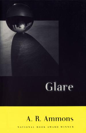 Cover of the book Glare by Peter Kuper, Franz Kafka