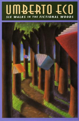 Book cover of Six Walks in the Fictional Woods