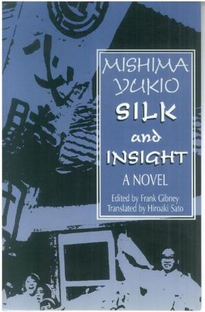 Cover of the book Silk and Insight (Kinu to Meisatsu): A Novel by Glenna R. Schroeder-Lein