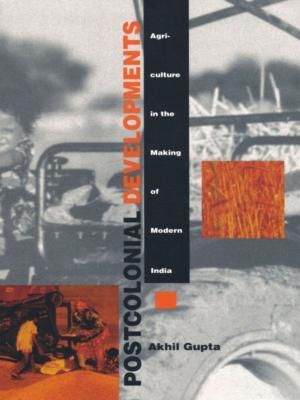 Cover of the book Postcolonial Developments by Pun Ngai