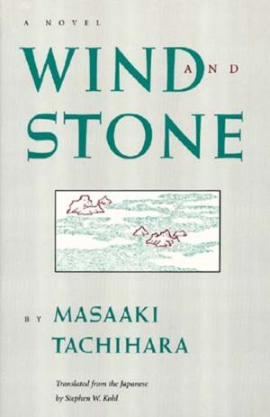 Cover of the book Wind and Stone by Tsuneichi Miyamoto, Jeffrey Irish