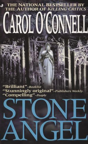 Cover of the book Stone Angel by Eva Etzioni-Halevy