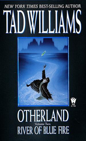Cover of the book Otherland 2: River of Blue Fire by C. J. Cherryh, Jane S. Fancher