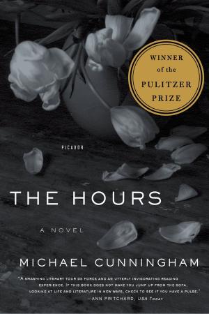 bigCover of the book The Hours by 