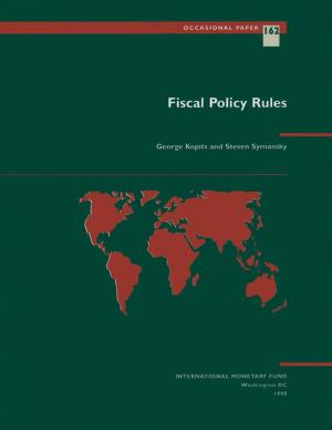 Cover of the book Fiscal Policy Rules by Sanjeev Mr. Gupta, Claire Mrs. Liuksila, Henri Mr. Lorie, Walter Mr. Mahler, Karim Mr. Nashashibi