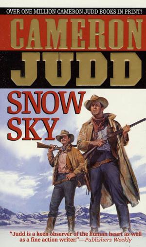 Book cover of Snow Sky