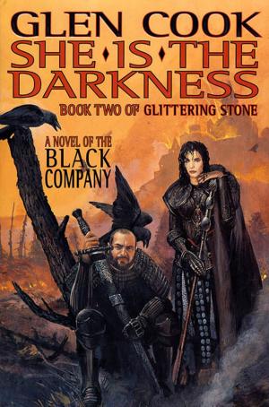 Cover of the book She Is The Darkness by John A. Miller